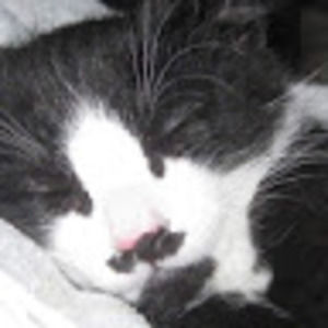 Meet your Posher, Liz